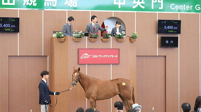 2026JRAブリーズアップセール生中継