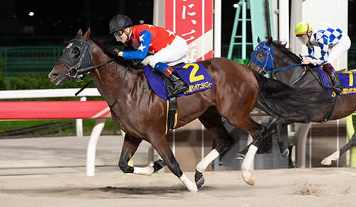 グリーンチャンネル地方競馬中継