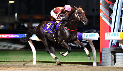 グリーンチャンネル地方競馬中継