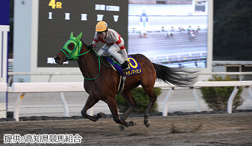 グリーンチャンネル地方競馬中継