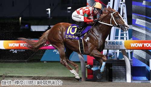 グリーンチャンネル地方競馬中継