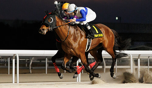 グリーンチャンネル地方競馬中継