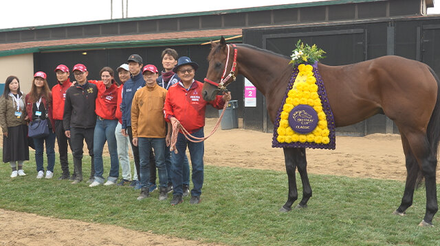ALL IN LINE～世界の競馬～２０２５サラブレッドランキング特集