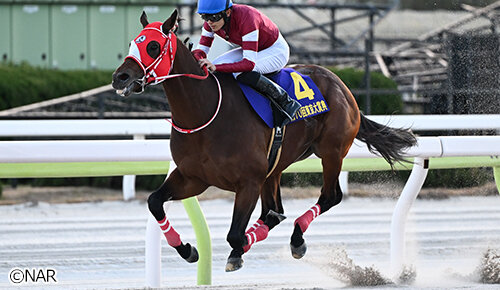グリーンチャンネル地方競馬中継