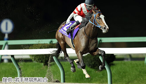 グリーンチャンネル地方競馬中継