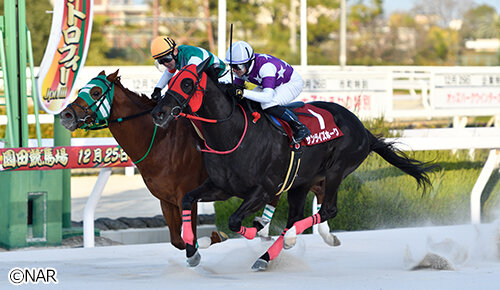グリーンチャンネル地方競馬中継