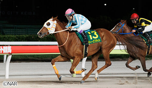 グリーンチャンネル地方競馬中継