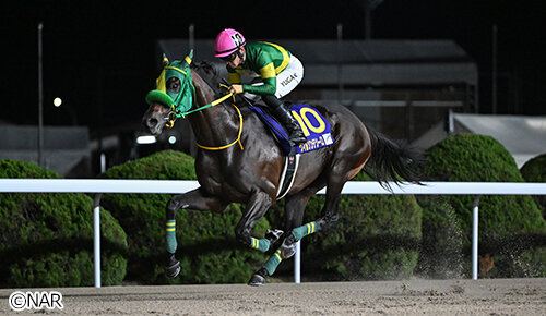 グリーンチャンネル地方競馬中継