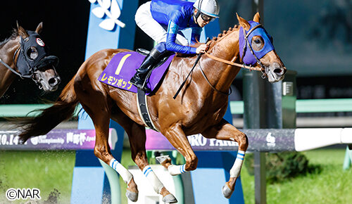 グリーンチャンネル地方競馬中継