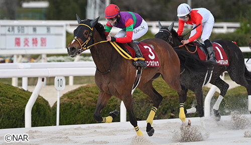 グリーンチャンネル地方競馬中継