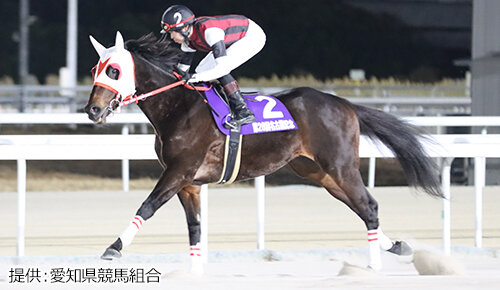 グリーンチャンネル地方競馬中継