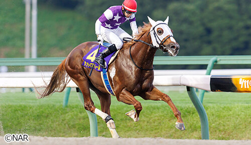 グリーンチャンネル地方競馬中継