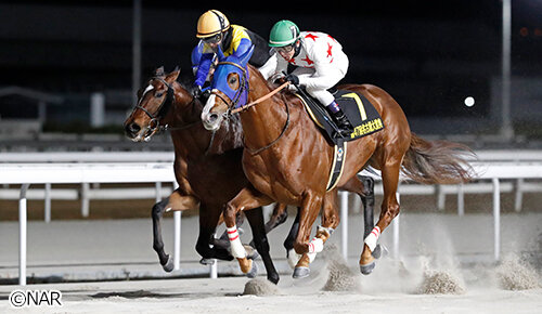 グリーンチャンネル地方競馬中継