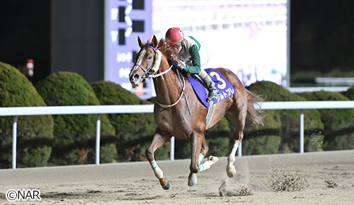 グリーンチャンネル地方競馬中継