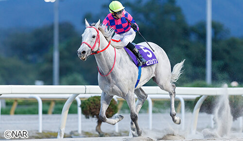 グリーンチャンネル地方競馬中継