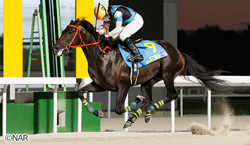グリーンチャンネル地方競馬中継