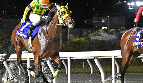グリーンチャンネル地方競馬中継