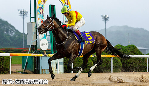 グリーンチャンネル地方競馬中継