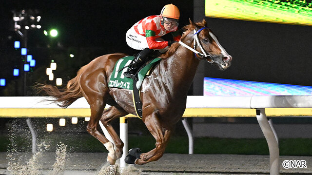 グリーンチャンネル地方競馬中継