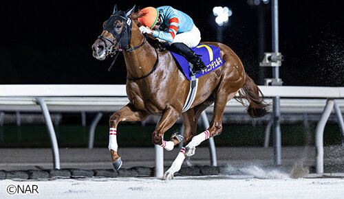 グリーンチャンネル地方競馬中継