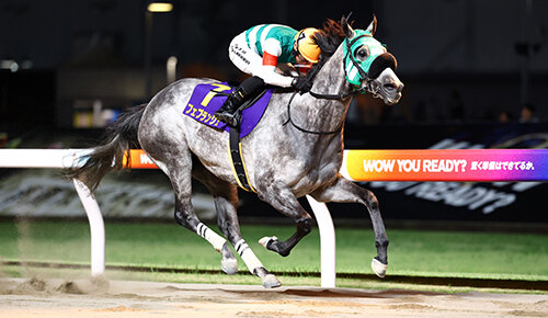 グリーンチャンネル地方競馬中継