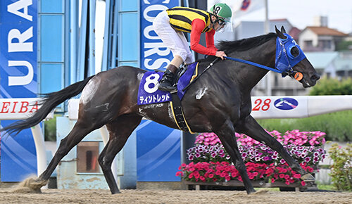 グリーンチャンネル地方競馬中継