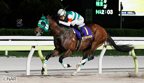 グリーンチャンネル地方競馬中継