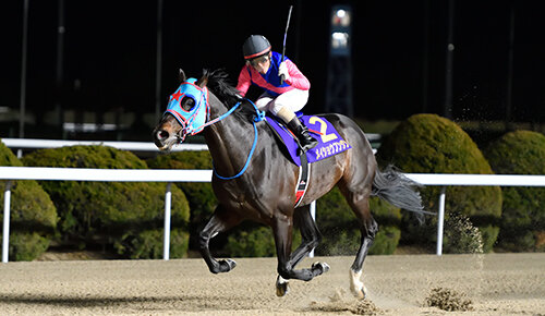 グリーンチャンネル地方競馬中継