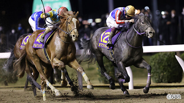 グリーンチャンネル地方競馬中継