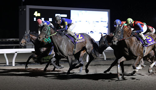 グリーンチャンネル地方競馬中継