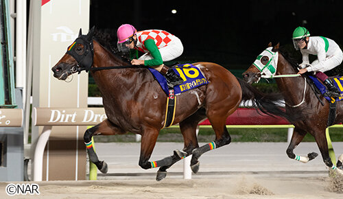 グリーンチャンネル地方競馬中継