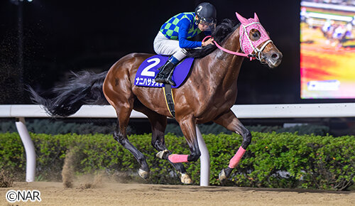 グリーンチャンネル地方競馬中継