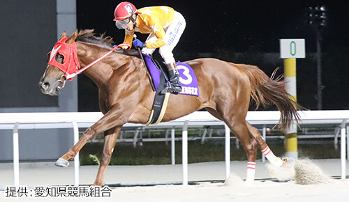 グリーンチャンネル地方競馬中継