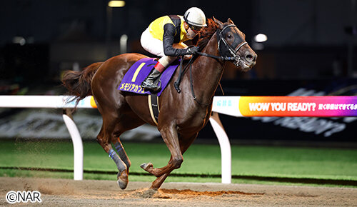 グリーンチャンネル地方競馬中継