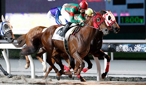 グリーンチャンネル地方競馬中継