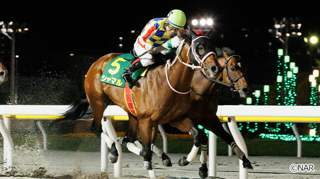 グリーンチャンネル地方競馬中継