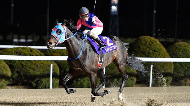 グリーンチャンネル地方競馬中継