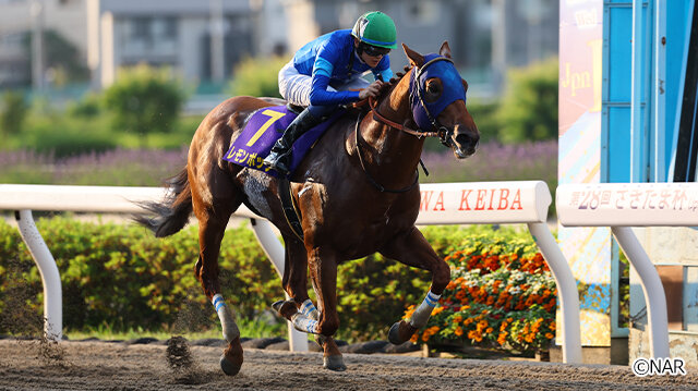 グリーンチャンネル地方競馬中継