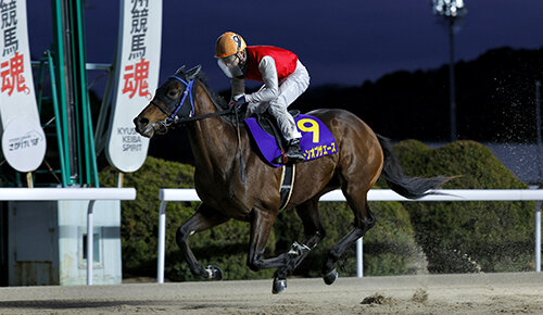 グリーンチャンネル地方競馬中継