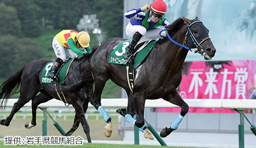 グリーンチャンネル地方競馬中継