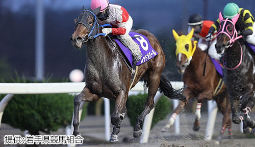 グリーンチャンネル地方競馬中継