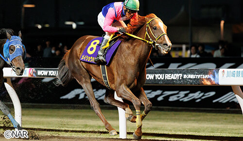 グリーンチャンネル地方競馬中継