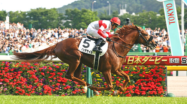 競馬ファンの方、海外レース、優勝馬 競馬ファンの方、海外レース、優勝馬