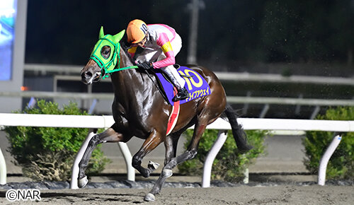 グリーンチャンネル地方競馬中継