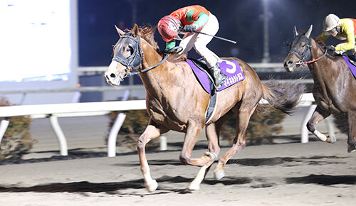 グリーンチャンネル地方競馬中継