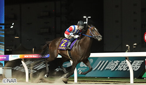 グリーンチャンネル地方競馬中継