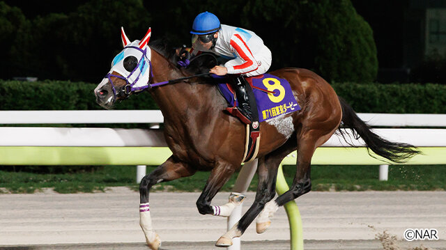 グリーンチャンネル地方競馬中継