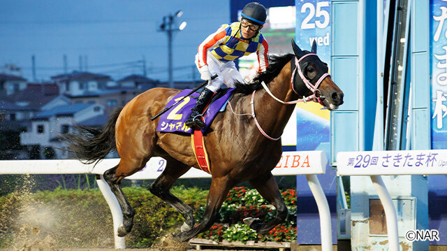 グリーンチャンネル地方競馬中継