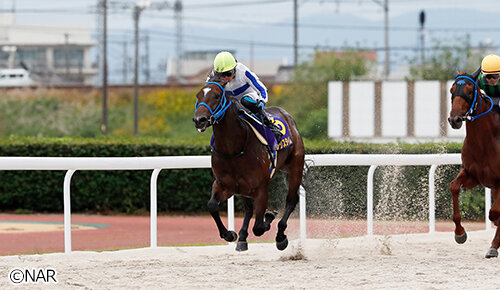 グリーンチャンネル地方競馬中継