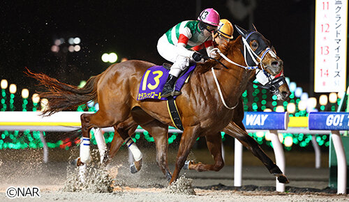 グリーンチャンネル地方競馬中継
